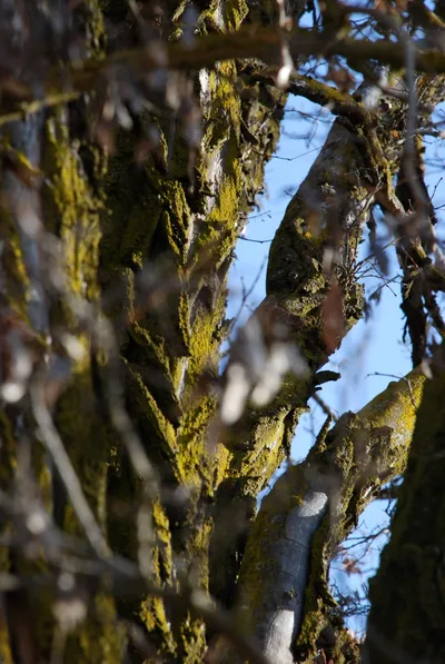 DSC_0037 (Large).JPG